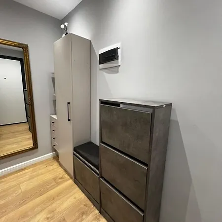 Le Bon 2 * 地拉那